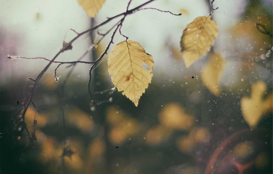 Skoda Octavia 2.0 TDI DSG