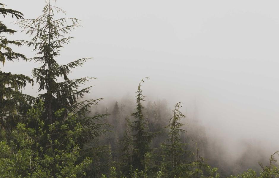 Skoda Superb 2.0 TDI DSG