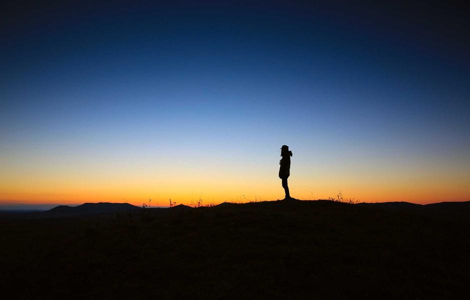 Ford Focus 1.5 EcoBlue