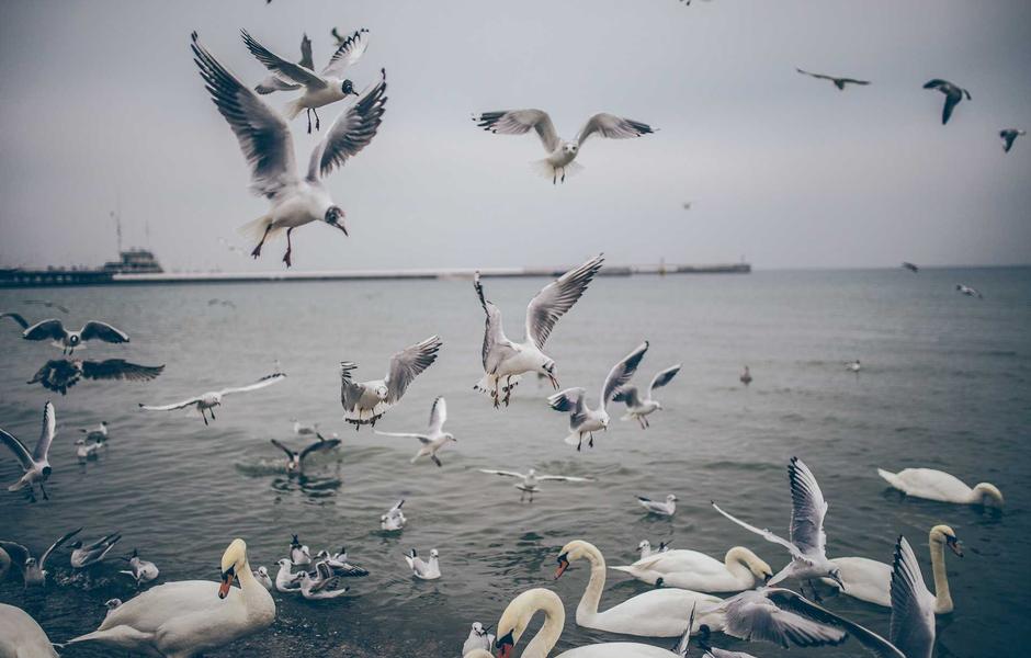 Dacia Duster 1.5 Blue dCi